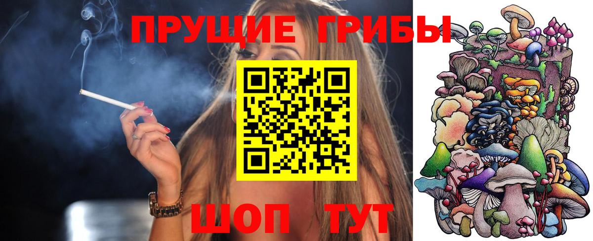 Галлюциногенные грибы Psilocybine cubensis  Вход с VPN  купить наркотики сайты  Фурманов 
