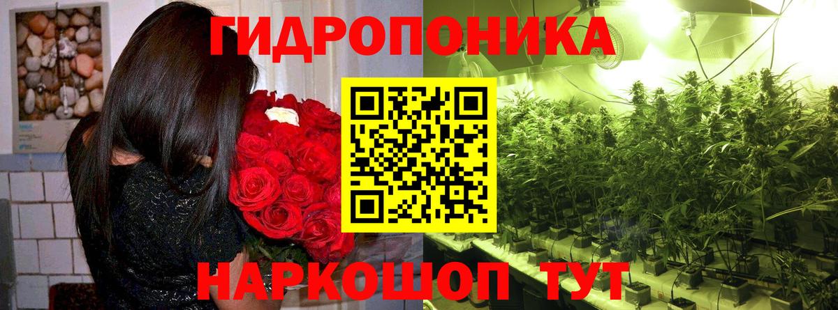 Шишки марихуана индика Фурманов